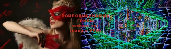 jwh Ладушкин